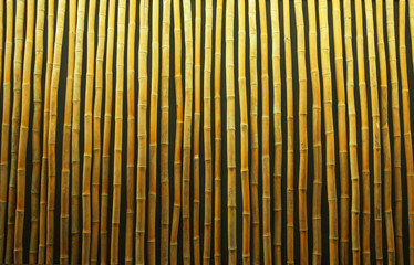 yellow bamboo texture and background