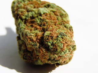 Closeup of medical cannabis bud. Marijuana bud on white background. 