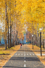 Bicycle path with pedestrian crossing with birches on the edges, autumn