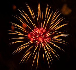 Nice, colorful fireworks abstract in the evening