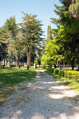 Trail in the countryside.  Part of the cloister inside the charterhouse of Padula, Salerno, Italy.