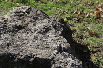 BIG STONE IN AUTUMN PARK
