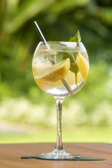 Healthy fruit infused water- Zero calorie virgin cocktail