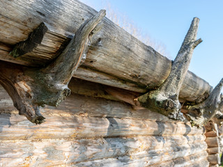 Fototapeta premium picture with old log house and interesting roof mounts