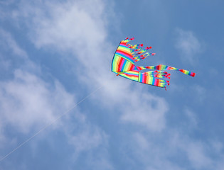 colorful kite flies in the sky