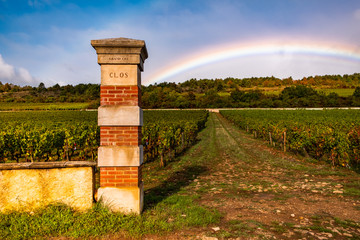 beautiful scenic autumn landscape of Bourgogne Clos de la Pucelle grand cru vineyard, old fence...