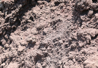 detail of red stones of lava