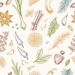 Vector seamless pattern with hand drawn medical herbs and spices.