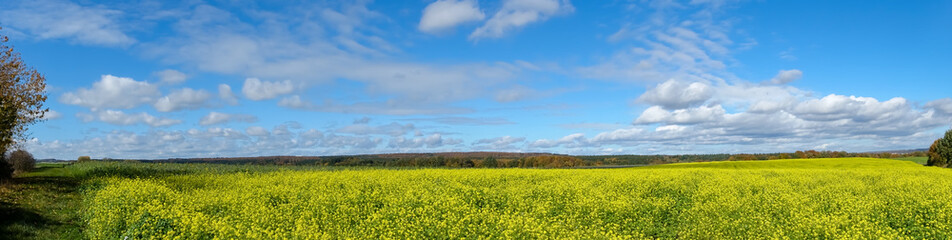 Fototapeta premium Panorama Senffeld im Herbst