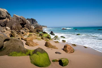 Photo sur Plexiglas Plage de Bolonia, Tarifa, Espagne Rocas cubiertas de musgo verde en una playa salvaje en Bolonia, Tarifa, Cádiz, Andalucía, España
