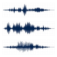 Seismograph chart. Seismic activity diagram, radio frequency waves and oscilloscope waveform graph vector set. Earthquake curve on paper tape. Lie detector. Digital soundwave, vibrations amplitude