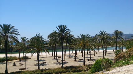 Fototapeta na wymiar Beautiful Balearian island Mallorca, Spain