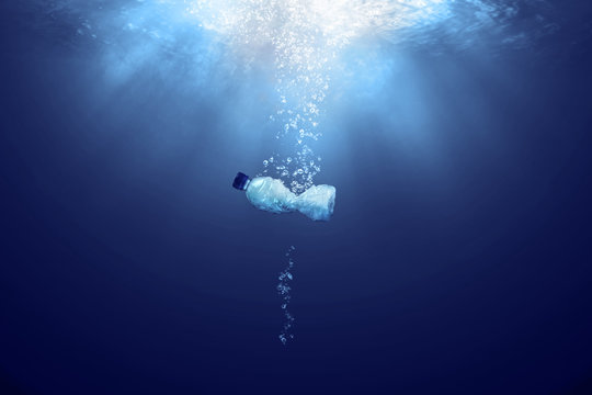 Save the Ocean