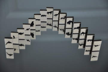 concept of success in business