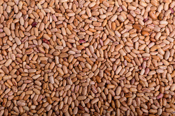 Natural background of many fresh organic read bean beans in warm light, top view