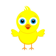 Magnificent little yellow chicken with blue eyes