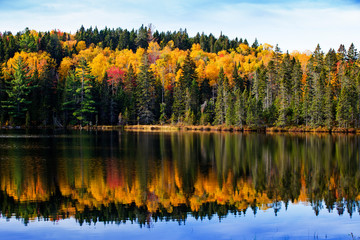 Obraz premium Beautiful fall reflection in mauricie national park