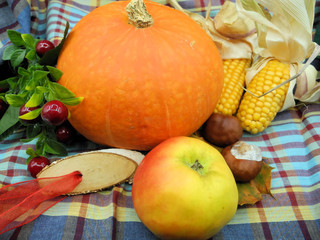 Herbststimmung mit K&uuml;rbis, Mais, Beeren