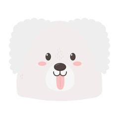 Fototapeta premium cute dog head tongue out on white background