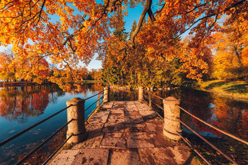 Fall in the park. Red, yellow and green autumn trees near small lake or pond with bridge. Catherine...