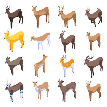 Deer icons set. Isometric set of deer vector icons for web design isolated on white background