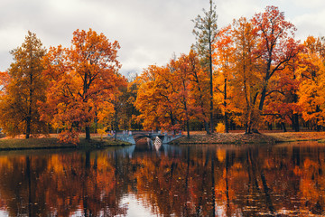 Naklejka premium Fall in the park. Red, yellow and green autumn trees near small lake or pond