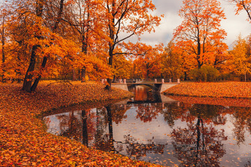 Fall in the park. Red, yellow and green autumn trees near small lake or pond