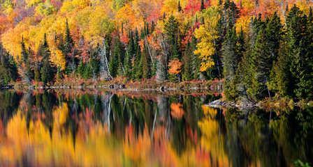 Beautiful fall reflection in mauricie national park