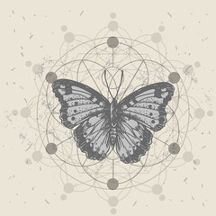 Butterfly and sacred geometry. Hand drawn vector illustration