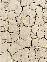 Dry ground in the cracks. Global environmental issue.