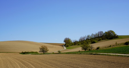 Oberkreuzstetten - Austria