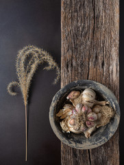 Overhead View of Homegrown Dried Garlic with Copy Space