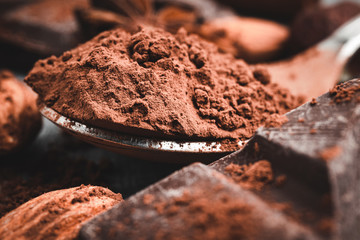 Brown cocoa powder in the spoon, chocolates and nuts, close-up view, selective focus