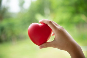 hand of child holding a red of rubber heart with green grass background. Showed the coordination, collaboration of business or requires sacrifice, attention, unity, charity, care or love of human