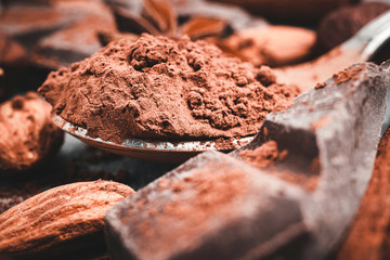 Brown cocoa powder in the spoon, chocolates and nuts, close-up view, selective focus