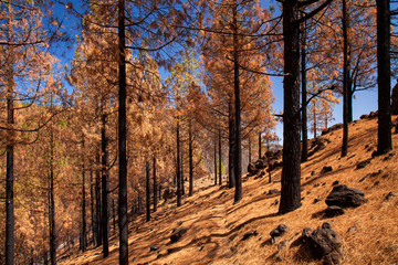Gran Canaria, October