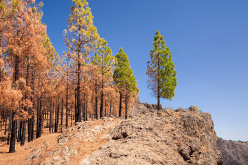 Gran Canaria, October
