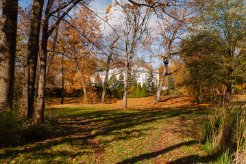 Jesień w Parku Lubomirskich, Białystok, Podlasie, Polska © podlaski49