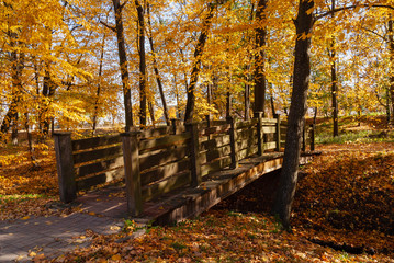 Jesień w Parku Lubomirskich, Białystok, Podlasie, Polska © podlaski49
