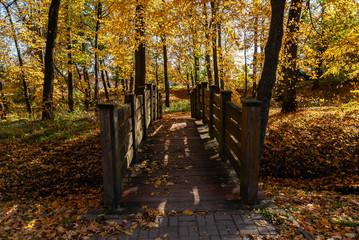 Jesień w Parku Lubomirskich, Białystok, Podlasie, Polska © podlaski49