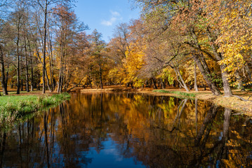 Jesień w Parku Lubomirskich, Białystok, Podlasie, Polska © podlaski49