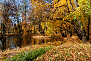 Jesień w Parku Lubomirskich, Białystok, Podlasie, Polska © podlaski49