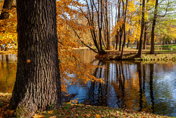 Jesień w Parku Lubomirskich, Białystok, Podlasie, Polska © podlaski49
