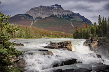Fototapeta na wymiar Athabasca Falls in Jasper National Park, Alberta, Canada