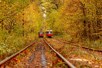 Fototapeta premium Autumn forest through which an old tram rides (Ukraine)