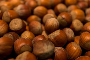 dried hazelnuts background	