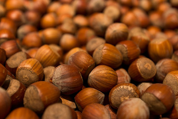 dried hazelnuts background	