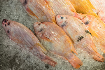 Fresh of raw red Tilapia fish on the ice selling in supermarket