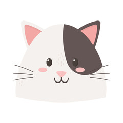 cute cat white and black head