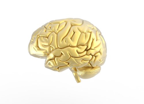 3D Render of Brain in Gold color